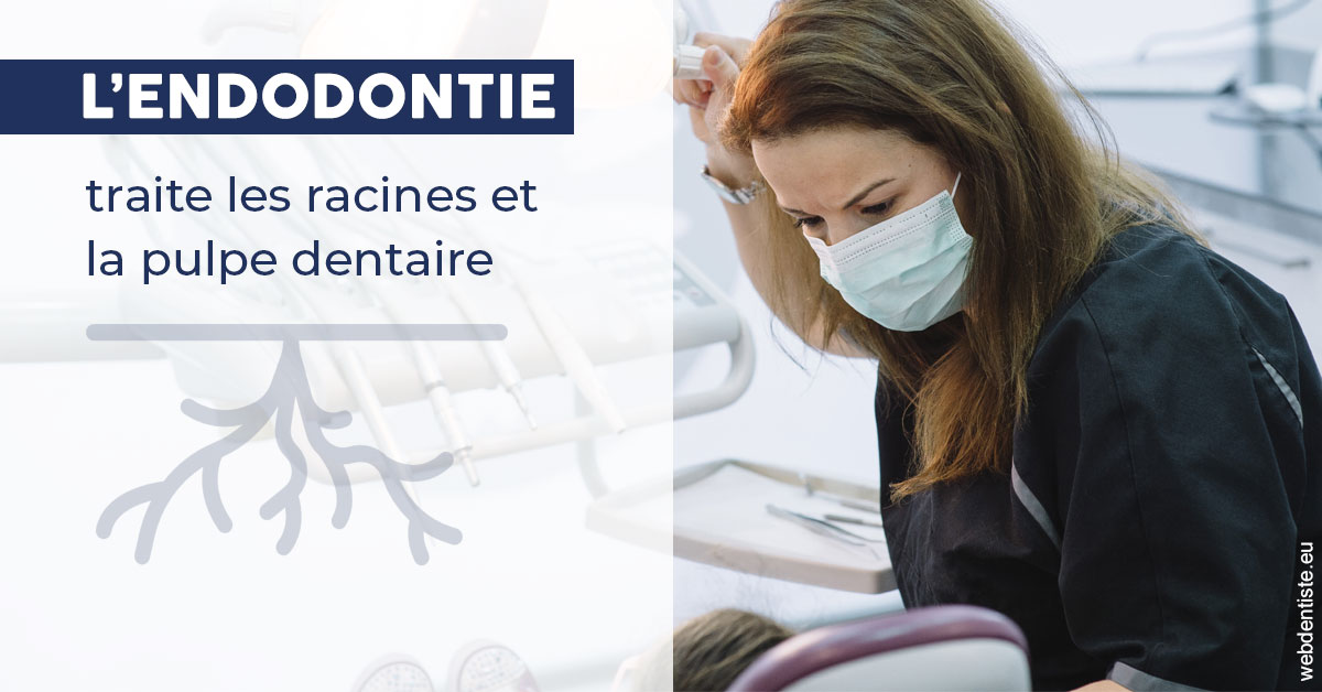 https://dr-justin-laurence.chirurgiens-dentistes.fr/L'endodontie 1