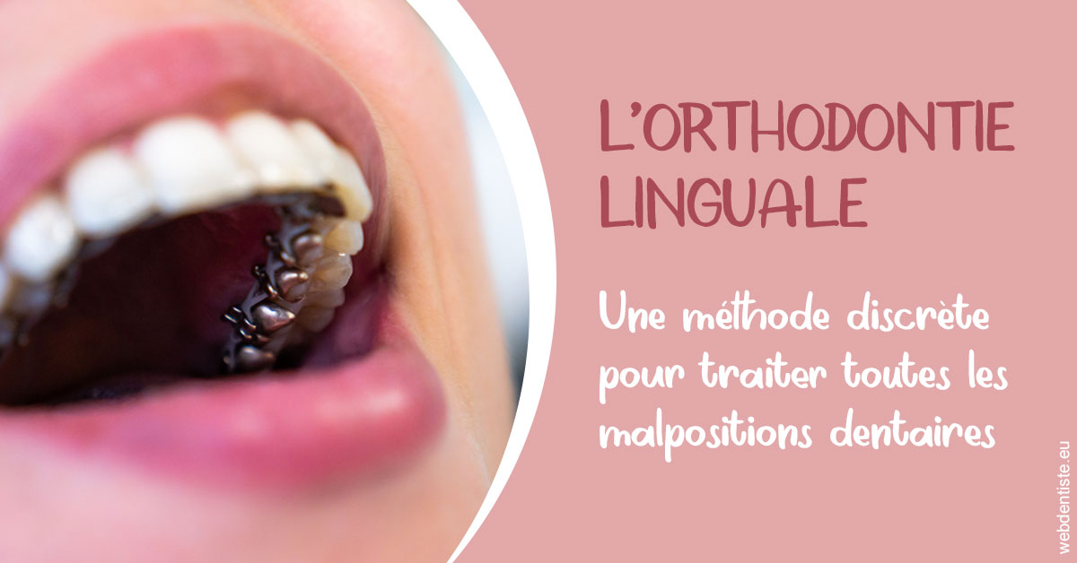 https://dr-justin-laurence.chirurgiens-dentistes.fr/L'orthodontie linguale 2