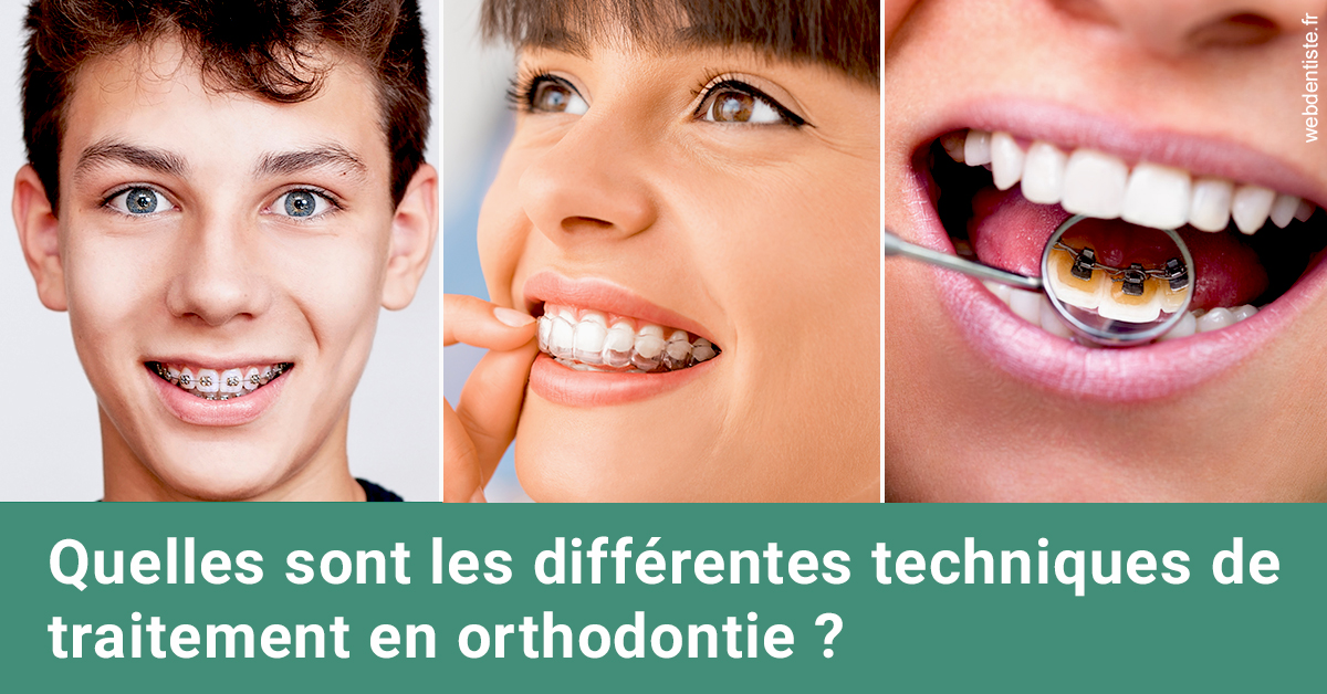 https://dr-justin-laurence.chirurgiens-dentistes.fr/Les différentes techniques de traitement 2