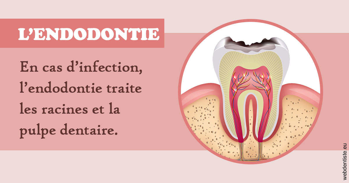 https://dr-justin-laurence.chirurgiens-dentistes.fr/L'endodontie 2